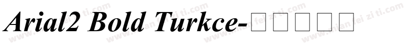 Arial2 Bold Turkce字体转换